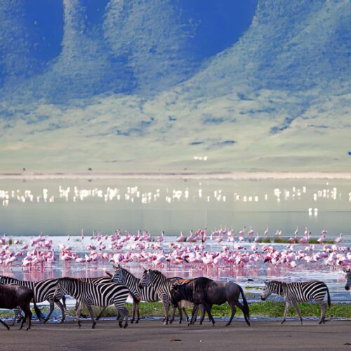 5 Days Tanzania Safari Package ( $ 1,890 / person )