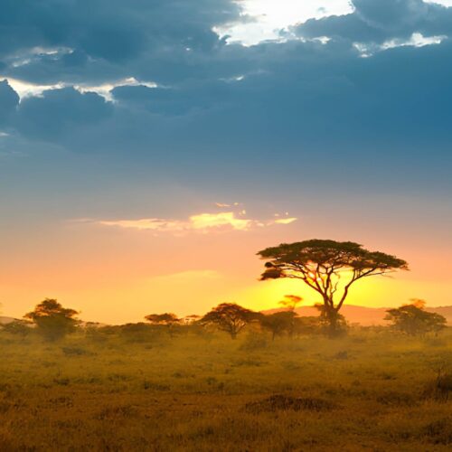 4 Day Trip Safari Package ( 1540$ / Person )