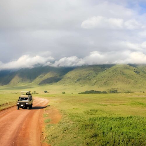 3-Day Tanzania Wildlife Explorer Safari