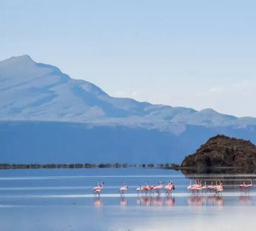 3-Day Tanzania Wildlife Explorer Safari
